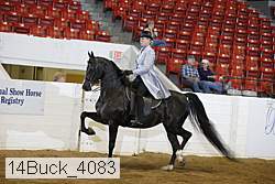 14buck_4083 proof