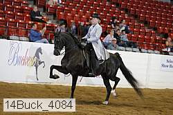 14buck_4084 proof