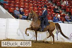 14buck_4085 proof