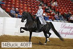 14buck_4087 proof