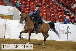 14buck_4088 proof
