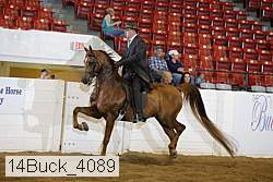 14buck_4089 proof