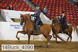 14buck_4090 proof
