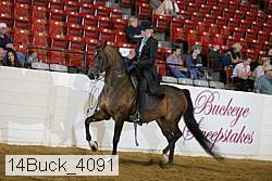 14buck_4091 proof