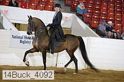 14buck_4092 proof