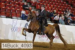 14buck_4093 proof