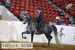14buck_4094 proof