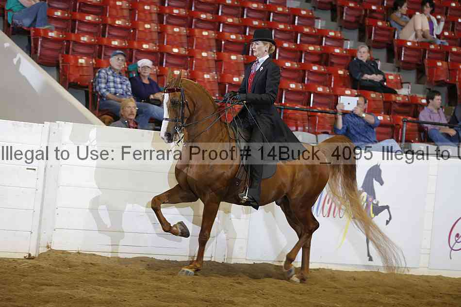 Proof 14buck_4095