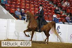 14buck_4095 proof