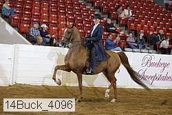 14buck_4096 proof