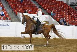 14buck_4097 proof