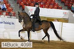 14buck_4098 proof
