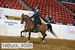 14buck_4099 proof