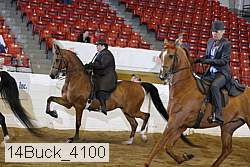 14buck_4100 proof