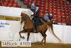 14buck_4103 proof
