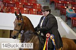 14buck_4107 proof