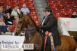 14buck_4108 proof