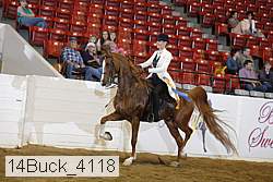 14buck_4118 proof