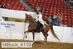 14buck_4119 proof