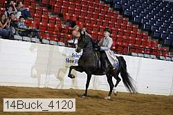 14buck_4120 proof