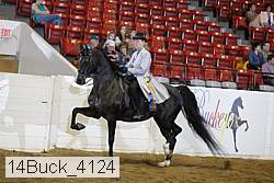 14buck_4124 proof