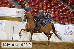 14buck_4125 proof