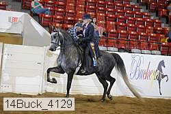 14buck_4129 proof