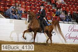 14buck_4130 proof