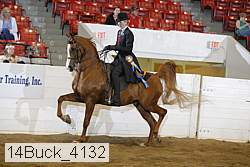 14buck_4132 proof