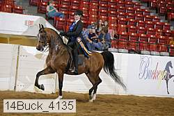 14buck_4135 proof