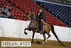 14buck_4137 proof