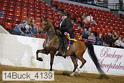 14buck_4139 proof