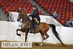 14buck_4141 proof