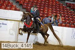 14buck_4145 proof
