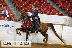 14buck_4146 proof