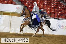 14buck_4152 proof