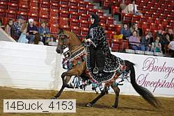14buck_4153 proof