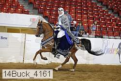 14buck_4161 proof