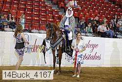 14buck_4167 proof
