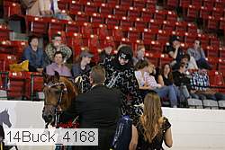 14buck_4168 proof