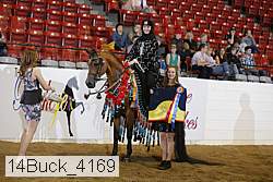 14buck_4169 proof