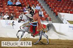 14buck_4174 proof