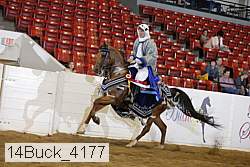 14buck_4177 proof