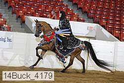 14buck_4179 proof