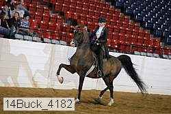 14buck_4182 proof