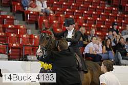 14buck_4183 proof
