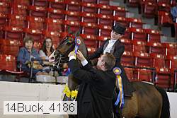 14buck_4186 proof