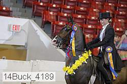 14buck_4189 proof