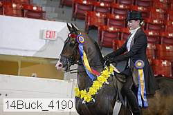 14buck_4190 proof