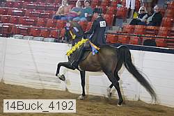 14buck_4192 proof